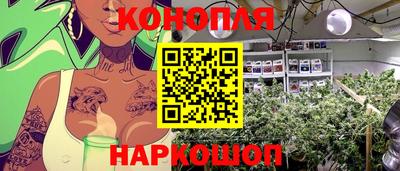 дурь Усть-Джегута